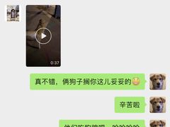 -派多格宠物(御景湾店)