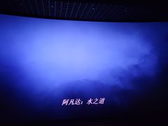 -金逸影城(荟聚IMAX激光店)