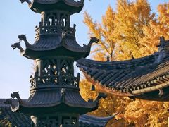 -西园戒幢律寺