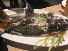 -Isla Sugbu Seafood City