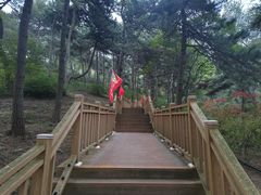 -鲁山国家森林公园