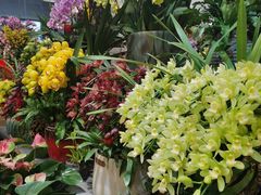 -双季花艺园艺市场(浦东店)