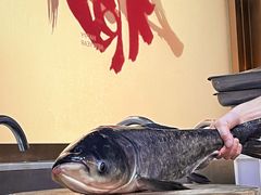 -阿鸡鱼庄·顺德鲜蒸小炒(亚运村店)