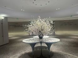 -广州美莱医疗美容医院