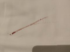 -春兰国宾馆(凤城河风景区老街店)