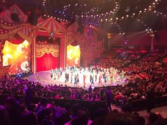 -珠海横琴长隆《卡卡虎奇遇记》