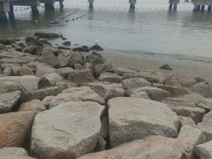 -深圳湾公园(南山区)