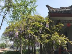 -南通濠河风景名胜区