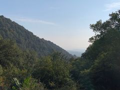 -韬光茶庵