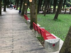 -金山植物公园