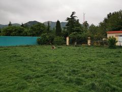 -趣玩宠物乐园寄养训犬训狗游泳池