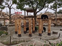 -上海野生动物园