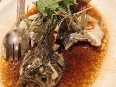 清蒸阳澄湖桂鱼-阳澄湖费尔蒙酒店颐丰阁中餐厅(马鞍山西路店)