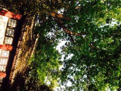 iphone_upload_pic-包公祠