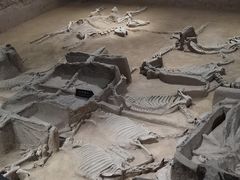 -洛阳周王城天子驾六博物馆