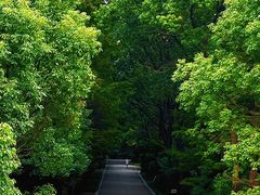 -同里国家湿地公园