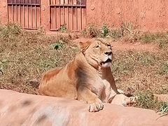 -昆明动物园
