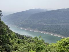 -铁山坪森林公园