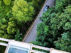 -铜川市金锁关石林