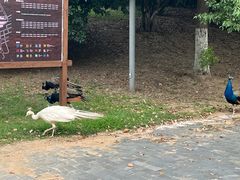 -武汉园博园(武汉自然博物馆)
