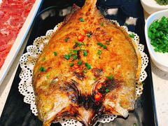 -九府羊·鲜羊火锅·烤串(新华路店)