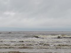 -日照海滨国家森林公园