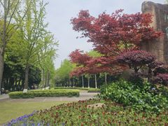 -苏州河梦清园环保主题公园