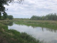 -东郊湿地公园