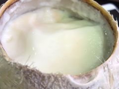 原只椰子炖奶-民信老铺(华盖路店)