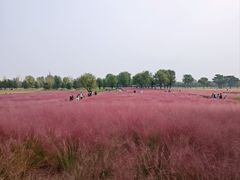 -汉长安城未央宫国家考古遗址公园