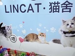 -lincat·猫舍(广州店)