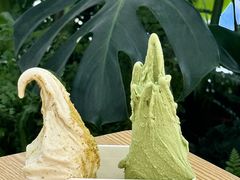 -野人先生Gelato(上海长宁龙之梦店)