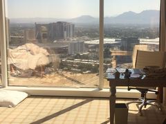 -拉斯维加斯永利酒店