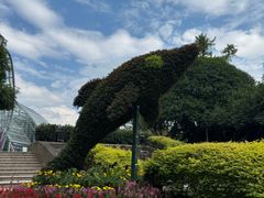 -南山植物园