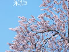 -红星桥(地铁站)