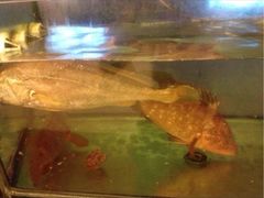 iphone_upload_pic-合家小菜餐馆(新诚花苑店)