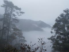 -四川大学博物馆