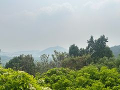 -云龙山