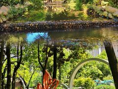 -成都市活水公园