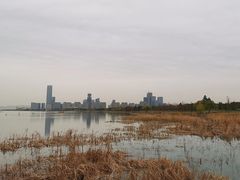 -苏州湾体育公园