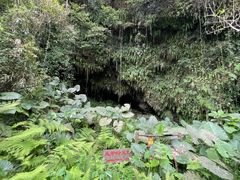 -海口火山口国家地质公园