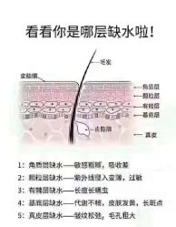 -慕拉美甲美睫皮肤管理