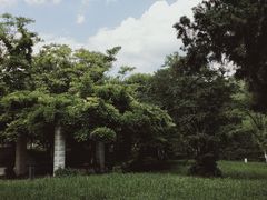 -花溪公园