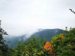 -香山公园