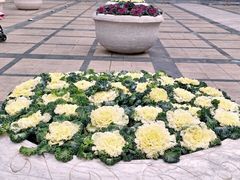 -王府井天主教堂