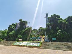 -云南野生动物园