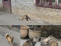 -高荡千年布依古寨旅游景区