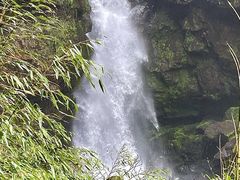 -龙苍沟森林公园