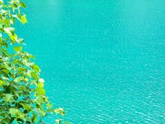 -九寨沟-树正沟