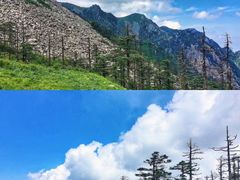-朱雀国家森林公园